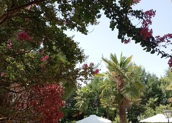 B&B Villa delle palme Carpi